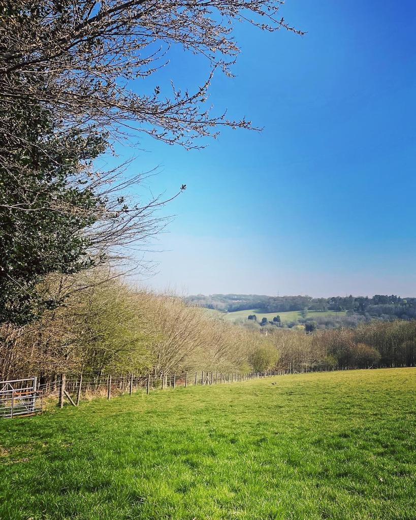 Misbourne trail run race photograph 17