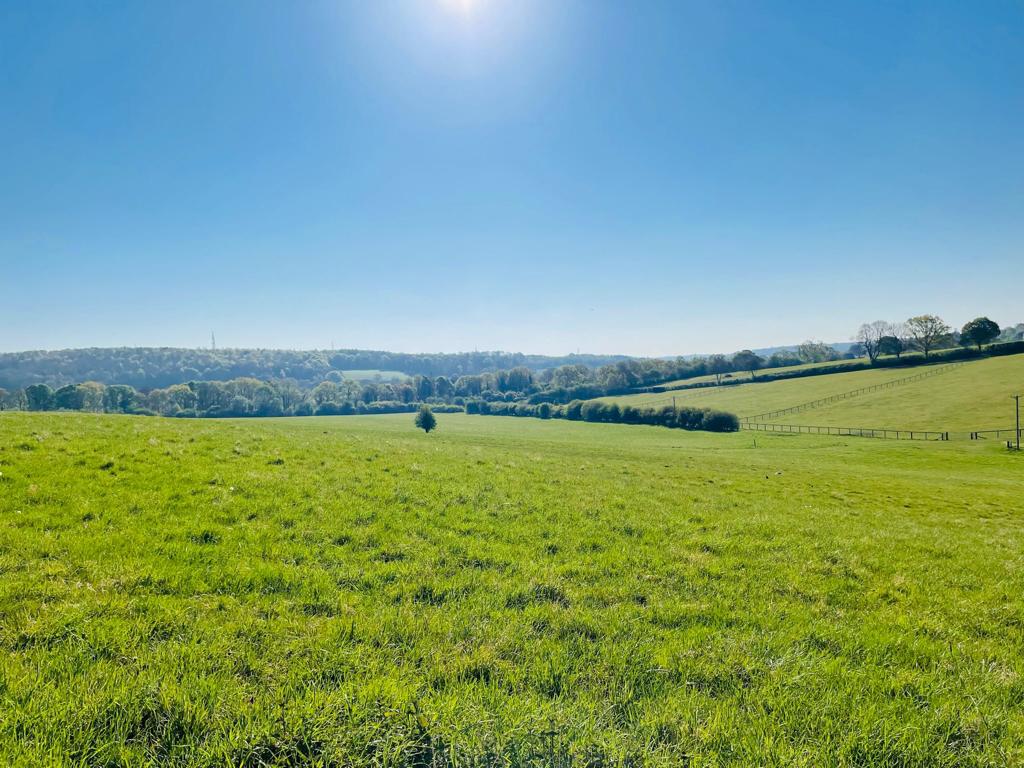 Misbourne trail run race photograph 15
